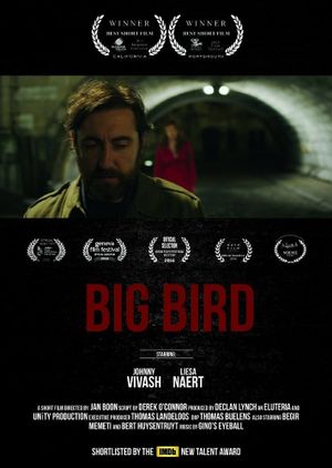 Big Bird's poster