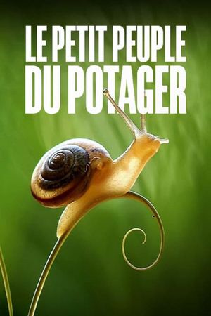 The Marvelous Wild World of the Vegetable Garden's poster