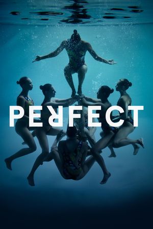 Perfect's poster image