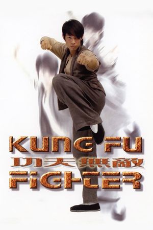 Kung Fu Fighter's poster