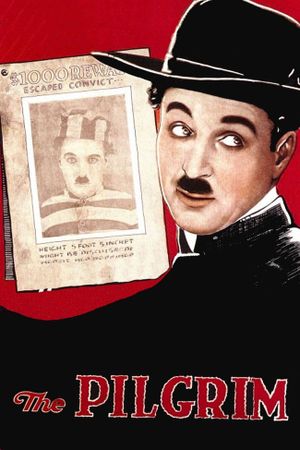 The Pilgrim's poster image