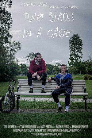 Two Birds in a Cage's poster