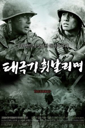 Tae Guk Gi: The Brotherhood of War's poster