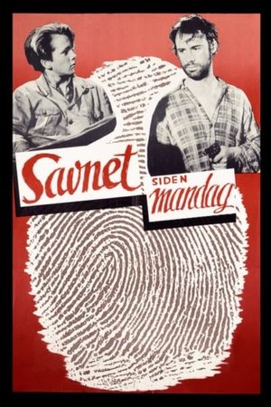 Savnet siden mandag's poster