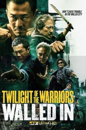 Twilight of the Warriors: Walled In's poster