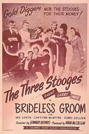 Brideless Groom's poster