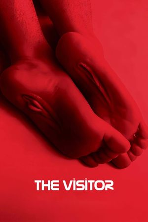 The Visitor's poster