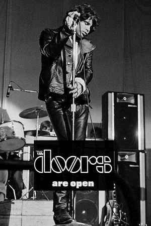 The Doors: The Doors Are Open's poster