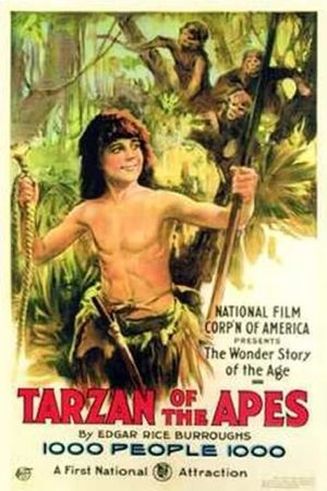Tarzan of the Apes's poster image