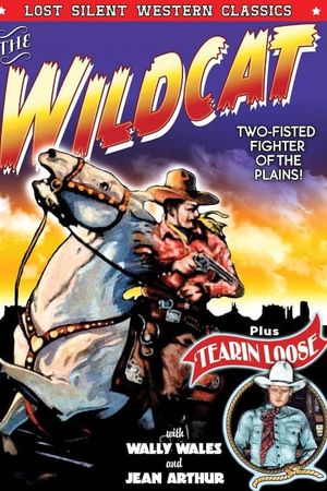 Tearin' Loose's poster