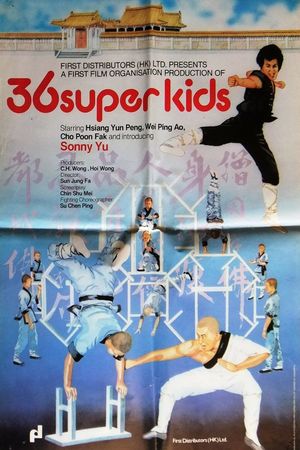 37 Ninja Kids's poster