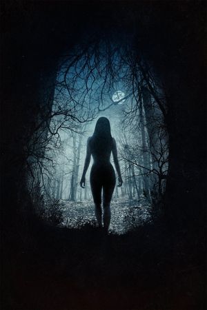 The Witch's poster