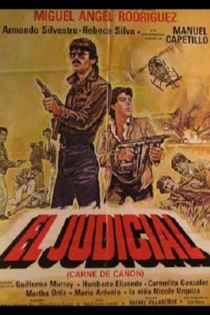El judicial's poster