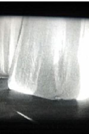 Weiße Vorhänge's poster