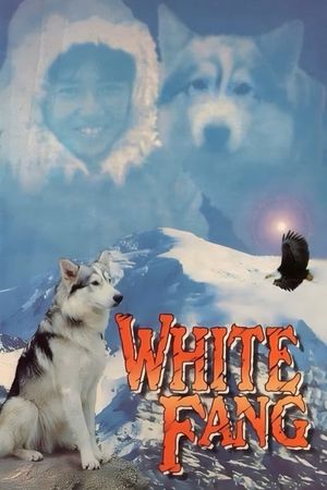 White Fang's poster