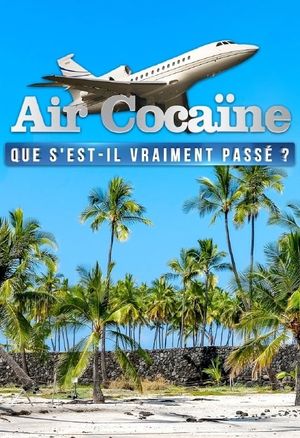 Air cocaïne : que s'est-il vraiment passé ?'s poster