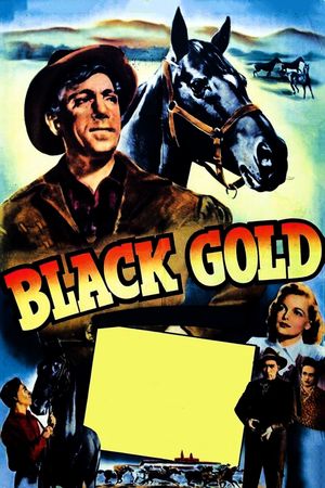 Black Gold's poster