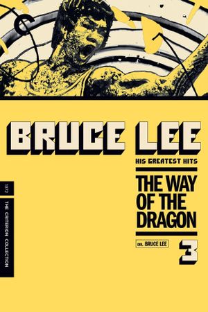 The Way of the Dragon's poster