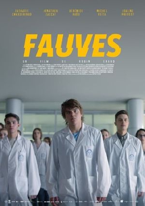 Fauves's poster