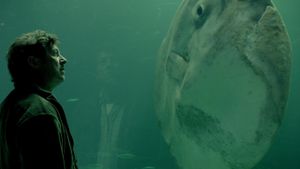 The Sunfish's poster