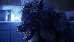 Werewolves's poster