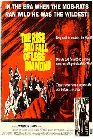The Rise and Fall of Legs Diamond's poster