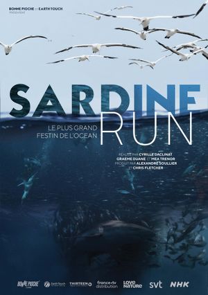 Sardine Run, le plus grand festin de l'océan's poster