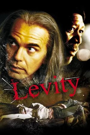 Levity's poster