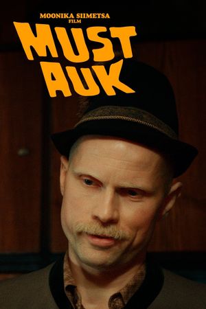 The Black Hole's poster