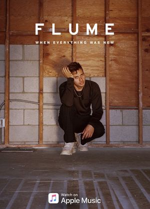 Flume: When Everything Was New's poster