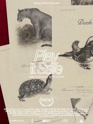 Play It Safe's poster image