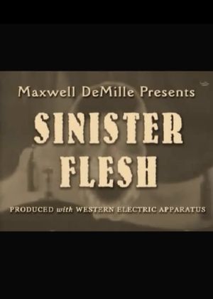 Sinister Flesh's poster