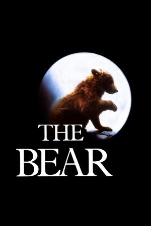 The Bear's poster