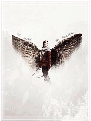 The Hunger Games: Catching Fire's poster