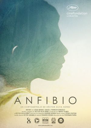 Anfibio's poster