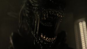 Alien: Romulus's poster