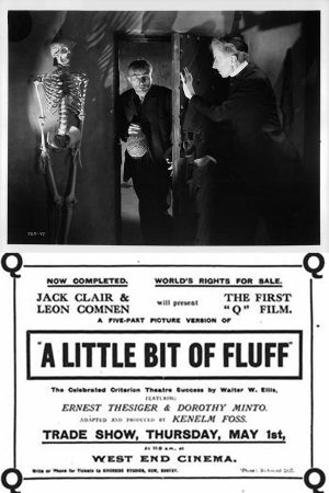 A Little Bit of Fluff's poster