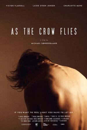 As the Crow Flies's poster