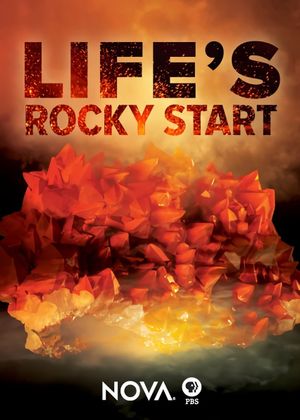 NOVA: Life's Rocky Start's poster