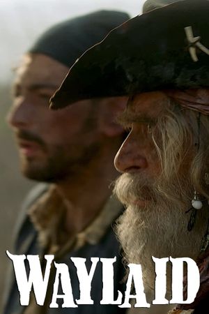 Waylaid's poster