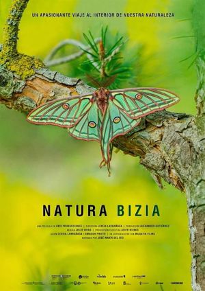 Natura Bizia's poster