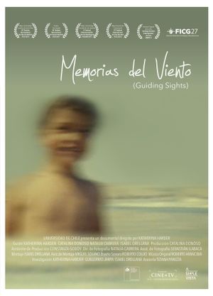 Guiding Sights's poster