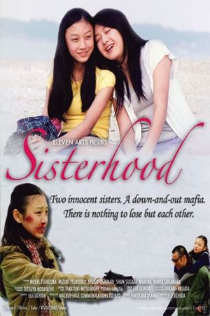 Sisterhood's poster