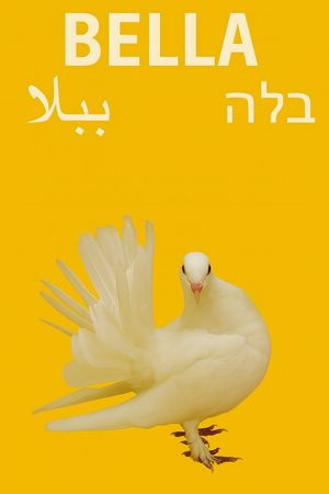 Bella's poster