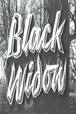 The Black Widow's poster