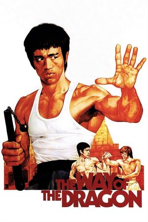 The Way of the Dragon's poster