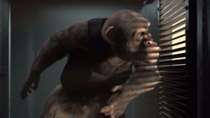 C.I.Ape's poster