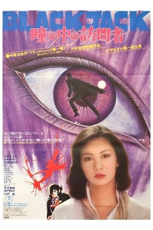 The Visitor in the Eye's poster