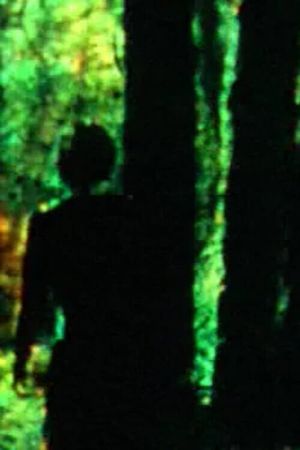 Meandering's poster
