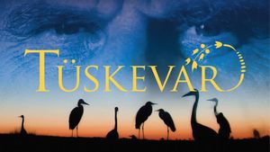 Tüskevár's poster